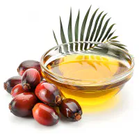 Palm oil